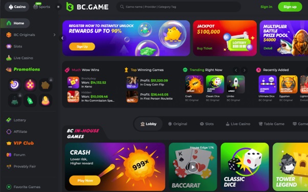 Exploring the Thrills of BC Game Casino
