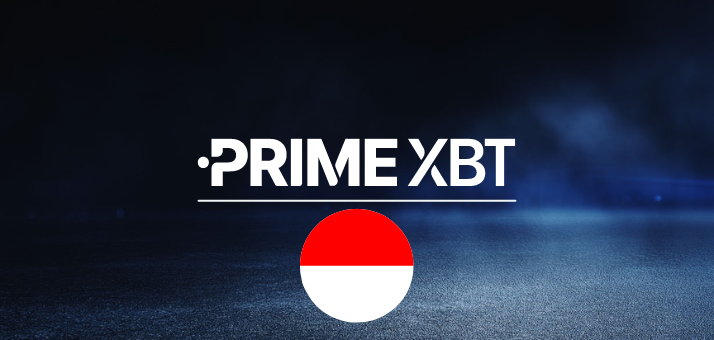 Pengalaman Terbaik dalam Trading dengan PrimeXBT Trade